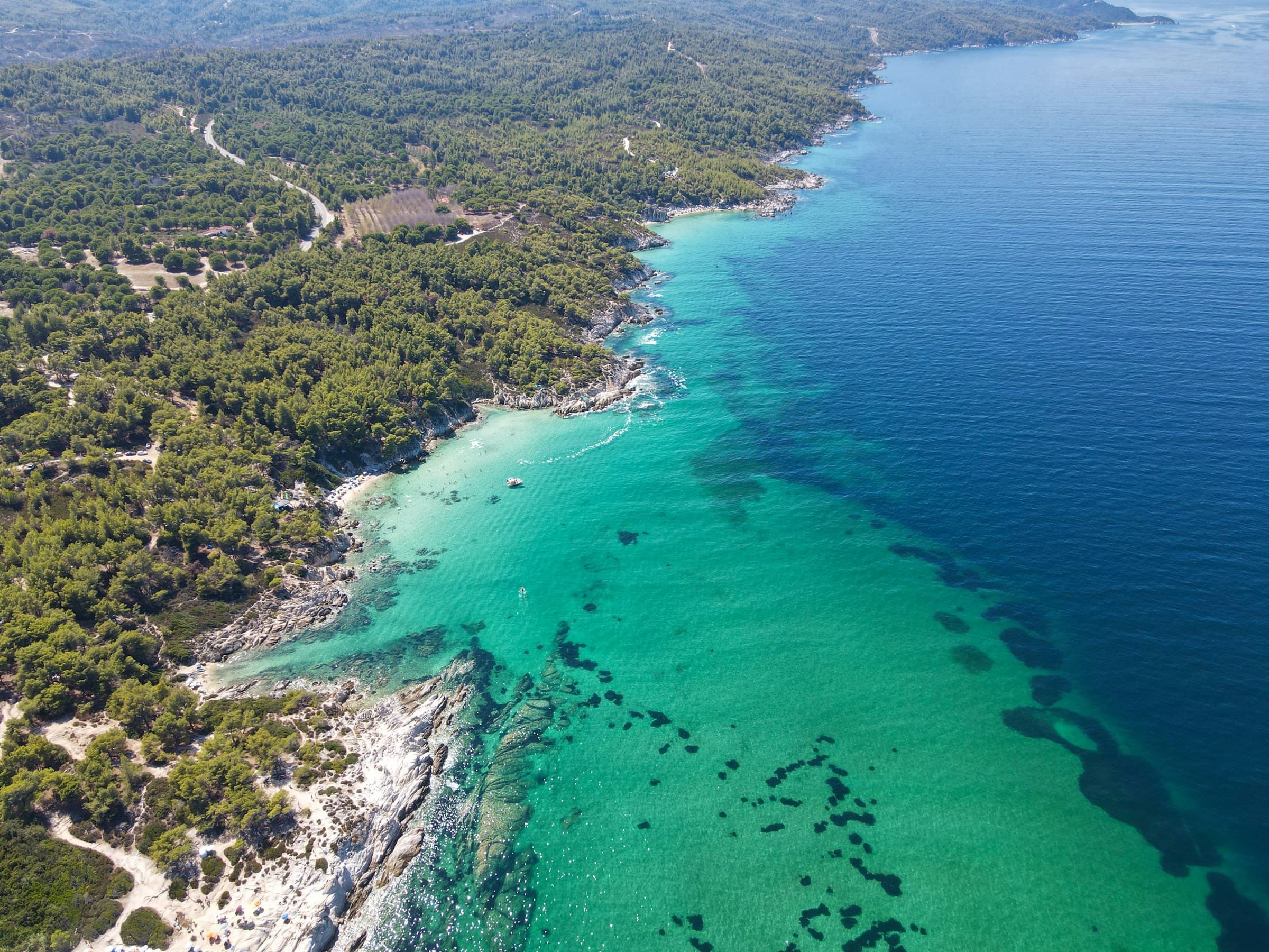 Aerial view of the Sithonia coast: pine forest running down to white rocks, turquoise shallows and small beaches.