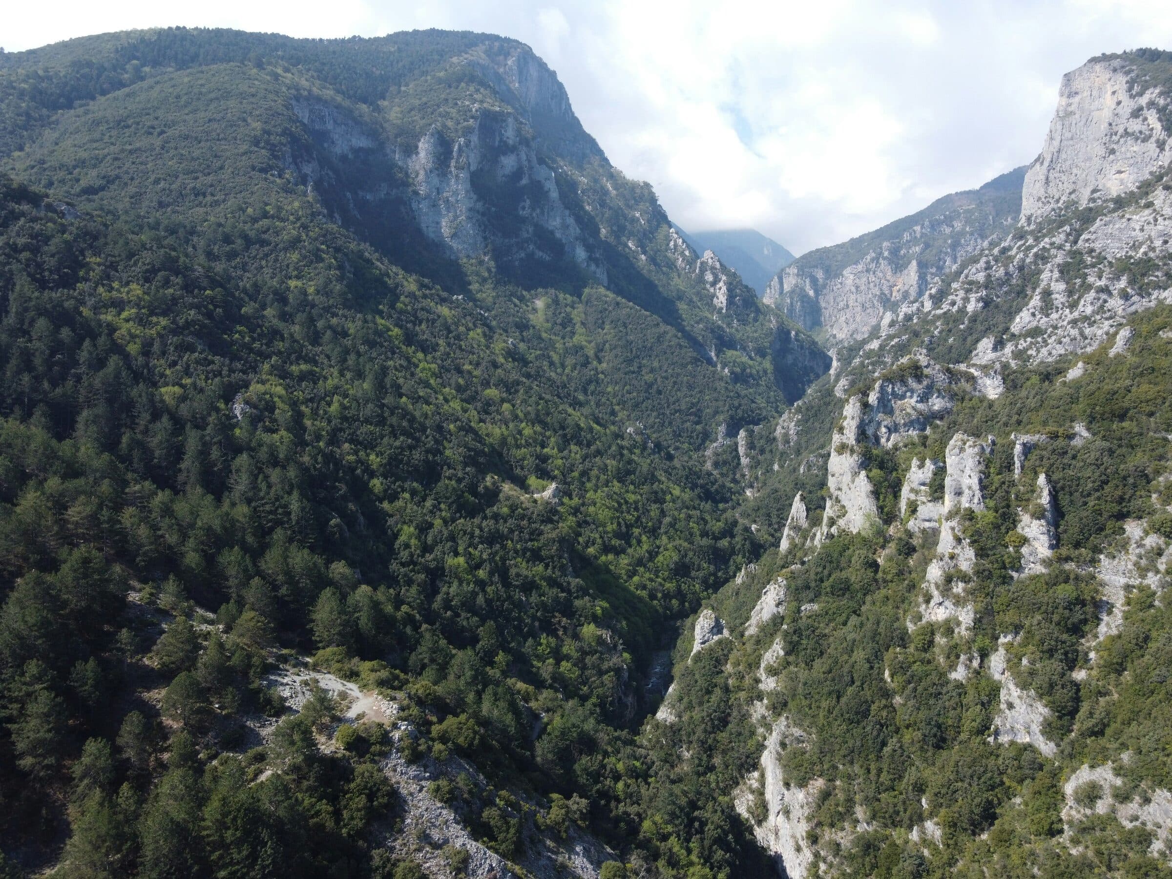 The Enipeas gorge above Litochoro: forested slopes, limestone cliffs, the stream on the gorge floor.